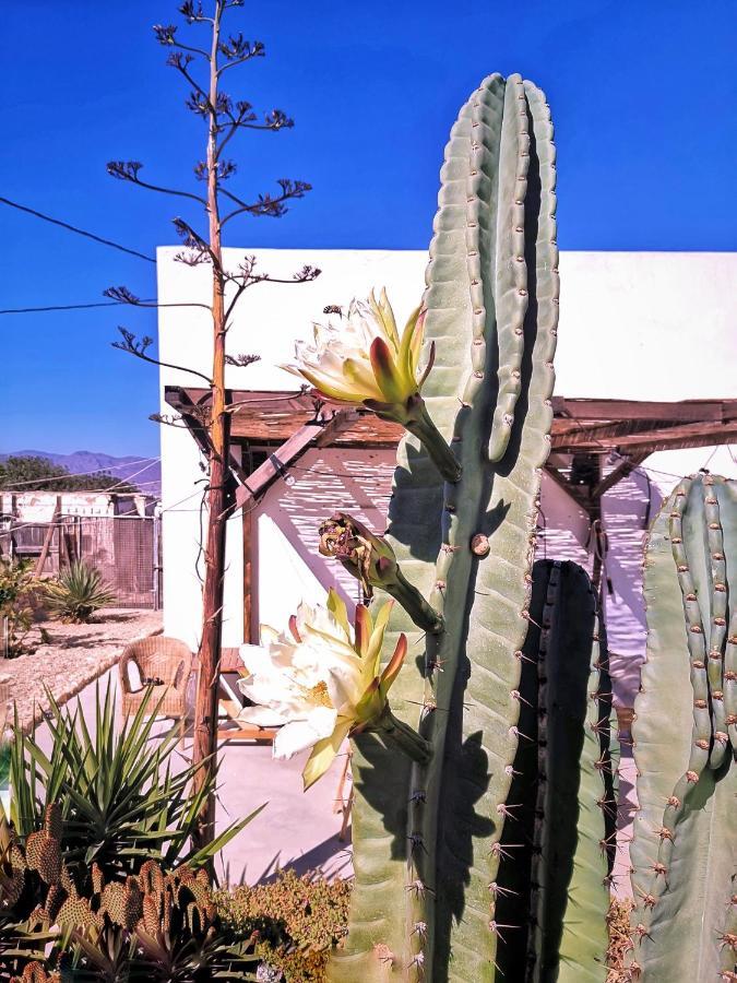 Cortijo La Ciclona Apartment Fernan Perez Exterior photo